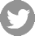 Twitter Icon